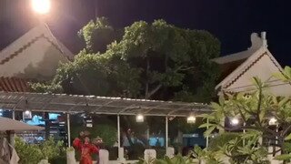 방콕에 있다는 극한의 컨셉충 식당.gif