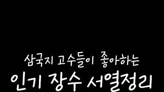 삼국지 고수들이 좋아하는 장수 서열