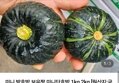 미니 밤호박 보우짱 1kg