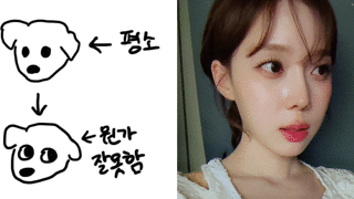 삼성이 소송한 boe란 회사의 역사