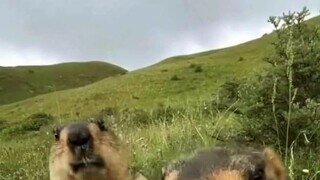 [약후방] 상체가 조금 아쉬운 ㅊㅈ.mp4...