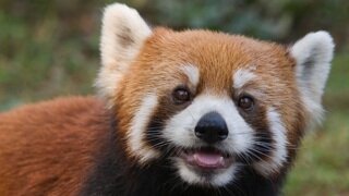 김건희 구속은 김건희 하나만의 문제가 아닌게
