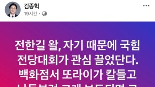 국힘 김종혁 페북