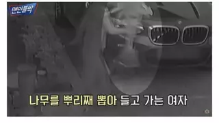 한국에서 은근 많이 훔쳐간다는 것