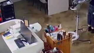 벌 퇴치하는 미용사