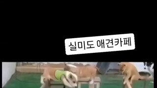 실미도