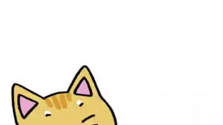 ㅋㅋㅋ 김건희는 어쩜 저렇게 투명할까 ㅋㅋㅋ