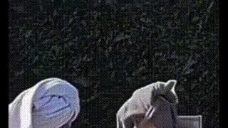 테토녀 누님