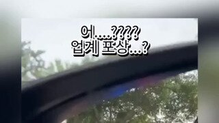 (ㅇㅎ) 흠... 주작인가?