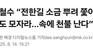 안철수 “전한길 소금 뿌려 쫓아내도 모자라…속에 천불 난다”
