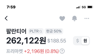팔란티어 고평가?