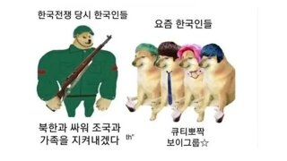 시바견 밈을 본 참전용사 할아버지