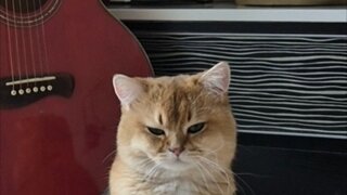 고전게임  영계도사