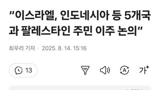 “이스라엘, 인도네시아 등 5개국과 팔레스타인 주민 이주 논의”