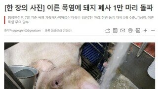 법무부 [尹 접견실 특혜 제공 중단] [서울구치소장도 교체]