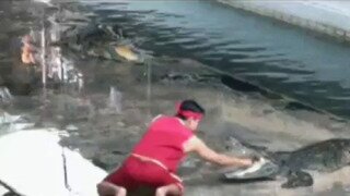 [고전] 악어쇼에서 일어난 사고..mp4...