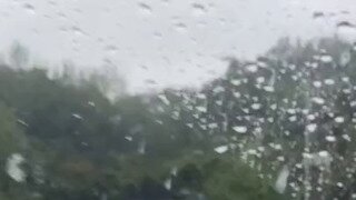 끼어들기 요령