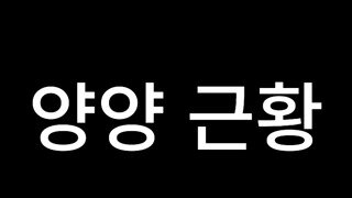 양양 근황