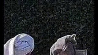 거칠게 술 권하는 테토녀