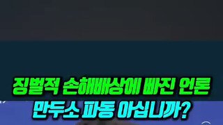 언론만 없는 징벌적 손해배상제.mp4
