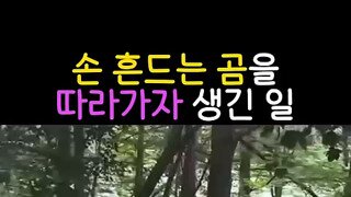 러시아인들이 불곰에게 간택되는 과정