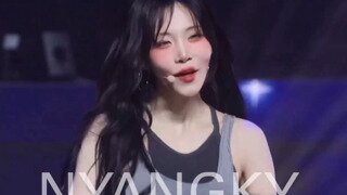 광복 80주년 전야제 싸이 챔피언