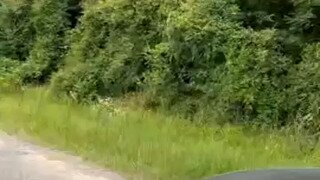 키워! 키워!키워! 키워!키워!키워!!키워!!