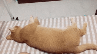 아 우리 헬스장에 아저씨옴;