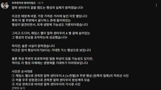 알파 센타우리 슈퍼지구, 사실은 가스 행성