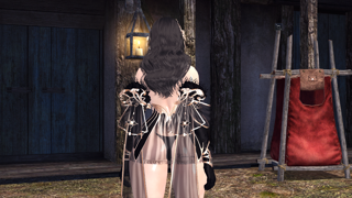 셀레나 페어리 염색시뮬