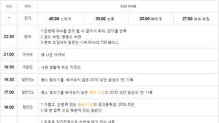 (스압) 디시 러닝갤에서 만든 달리기 티어표와 러닝 팁