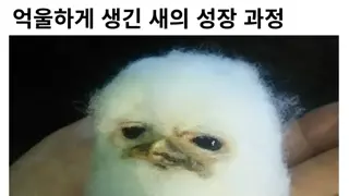 썸네일 이미지