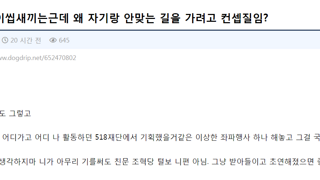 친문 친명 갈라치기 시도하는 2찍