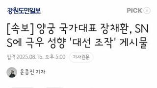 양궁 국가대표 장채환, SNS에 극우 성향 '대선 조작' 게시물