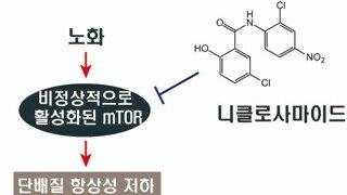 구충약을 잘 챙겨먹어야 하는 이유