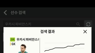 21PL 우카시 파비안스키 11or12 백금구합니다.