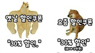할인 쿠폰 근황