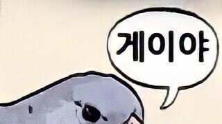 남자배우 키스만 300회 이상 한 키스전문배우
