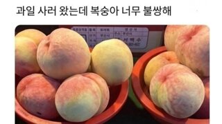 내가 딱복을 안먹는이유