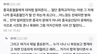 중국 혼혈들에게 하는 조언
