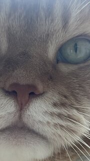 저희집 테슬라