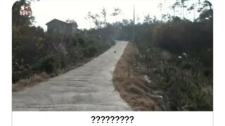 저기요 지금 제 몸 찍으셨죠!!