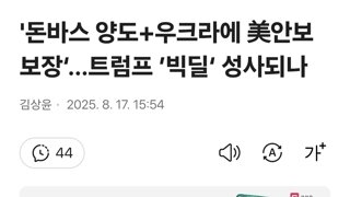'돈바스 양도+우크라에 美안보보장‘…트럼프 ’빅딜‘ 성사되나