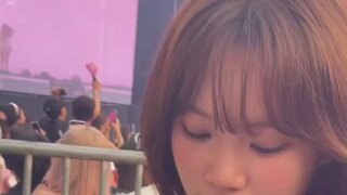 르세라핌 김채원 위버스