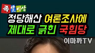 정당해산 여론조사 왜 하냐는 국힘 대변인.mp4
