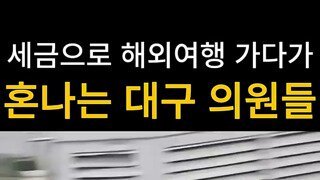 세금으로 놀러다니다 혼나는 대구시의원