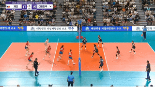 한국 여자배구 세터의 현실