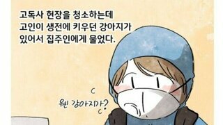 고독사 현장에서 발견된 강아지