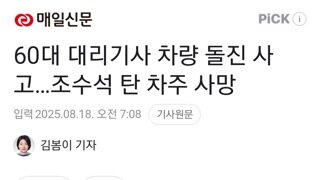 60대 대리기사 차량 돌진 사고…조수석 탄 차주 사망
