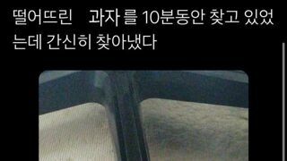 떨어진 과자를 10분동안 찾았다